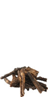 Dog Snacks Beef Rumen (Rinderpansen) 200g 1 Piece Anifit
